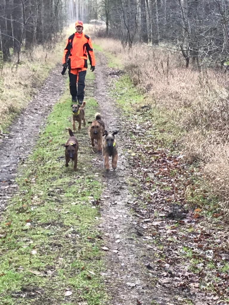 Foto von  David Könning